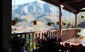 Apartamentos El Ardinal